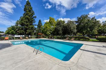 Sparkling pool